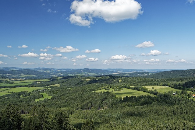 pohled na Šumavu